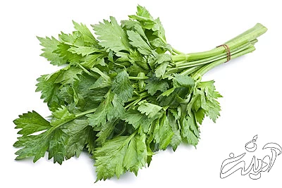 پوست میوه موز، هسته آناناس استفاده از پوست میوه, ویژگی های پوست میوه ها
